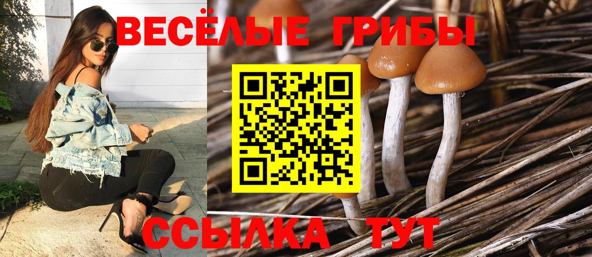 Прохладный  Галлюциногенные грибы Psilocybe  Галлюциногенные грибы мухоморы  Вход с VPN 